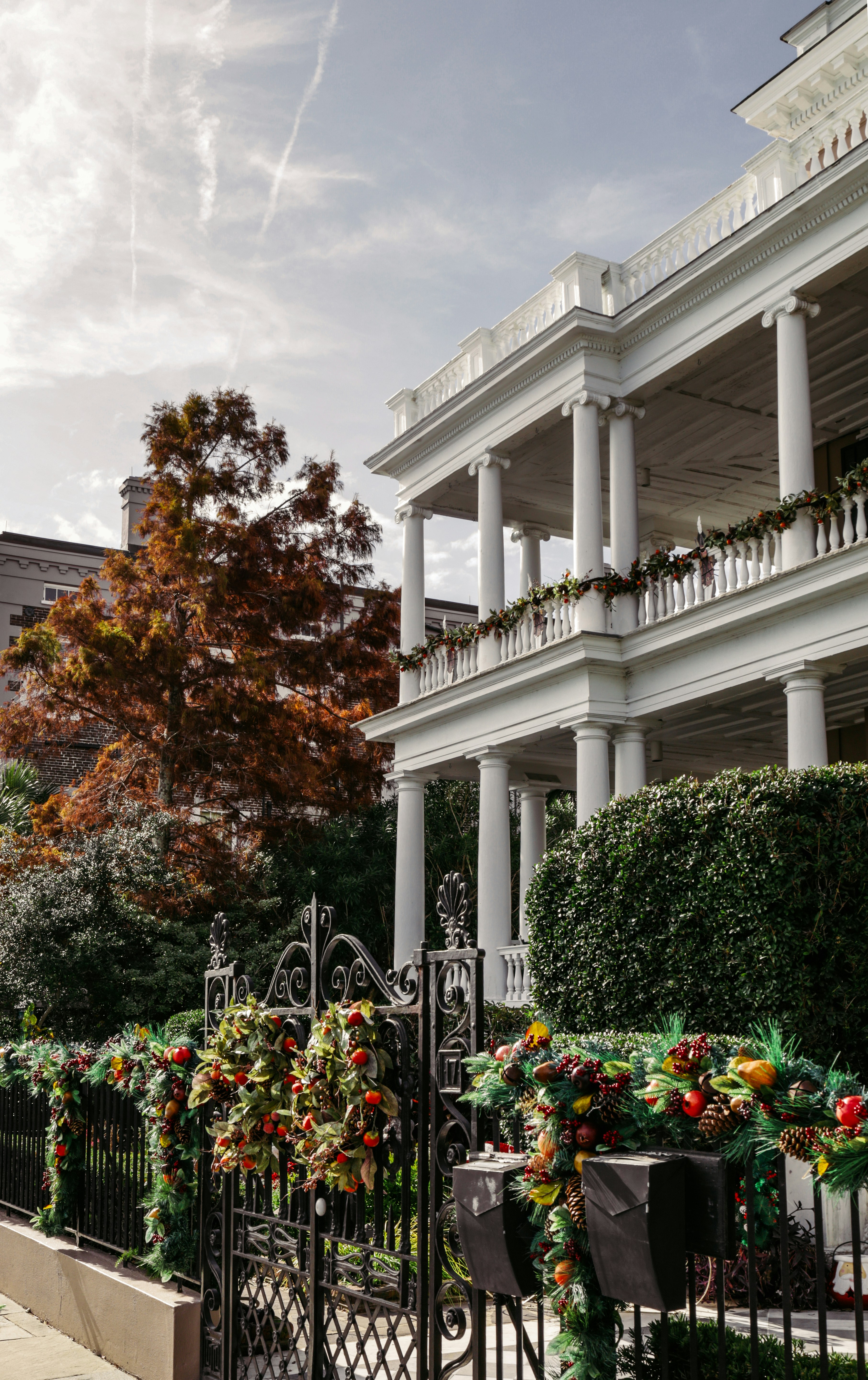 Photo by rosemarymedia