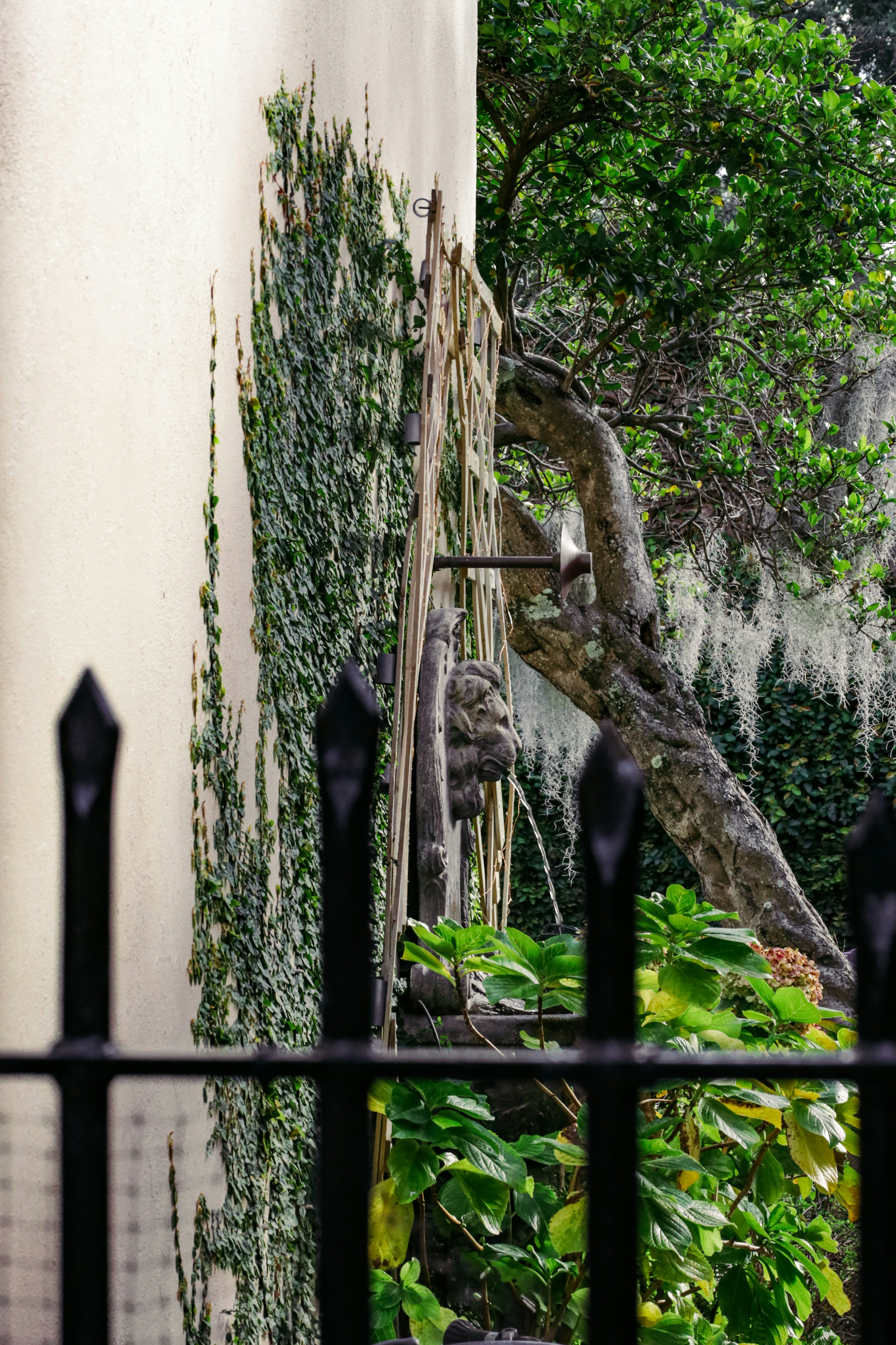 Photo by rosemarymedia