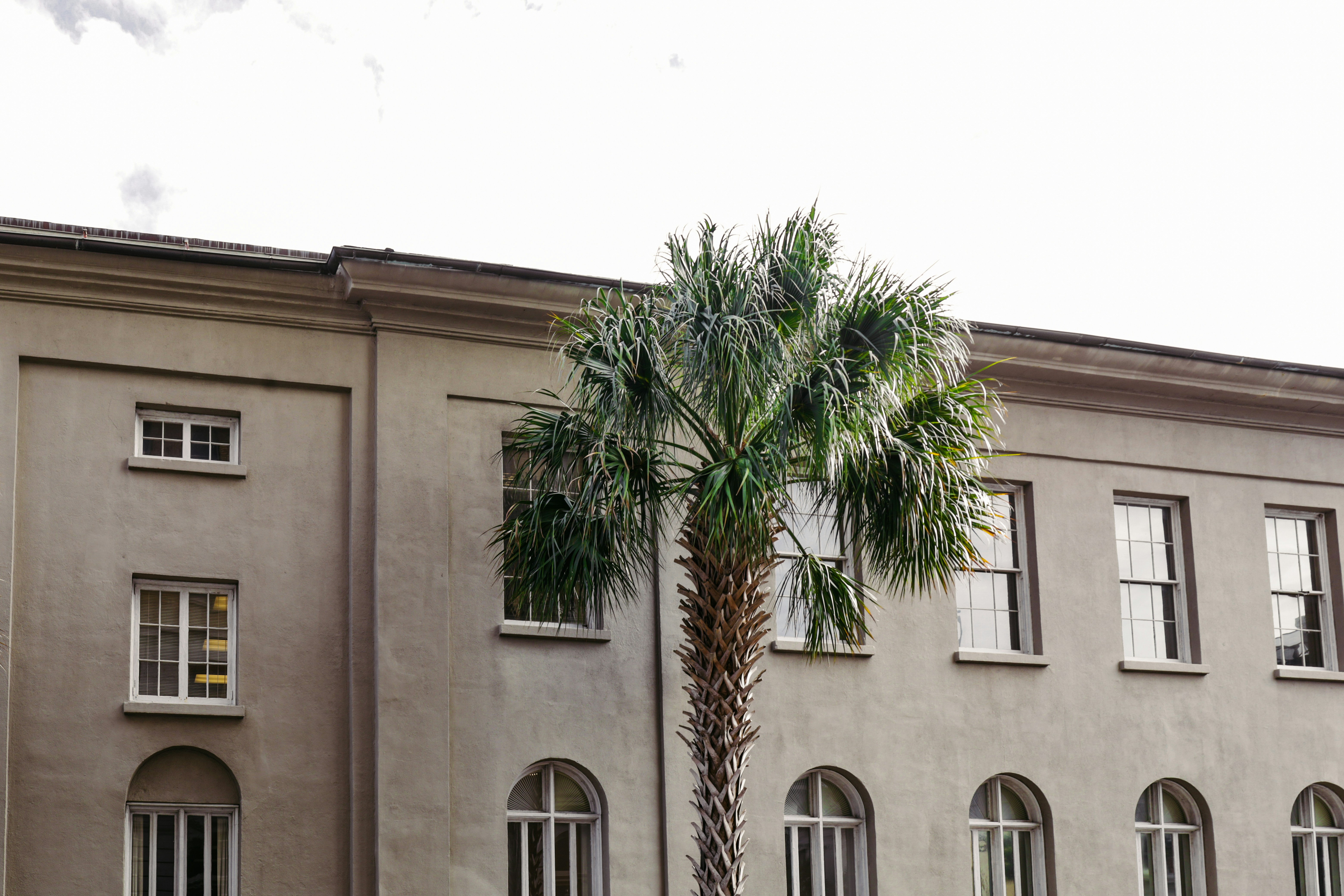 Photo by rosemarymedia