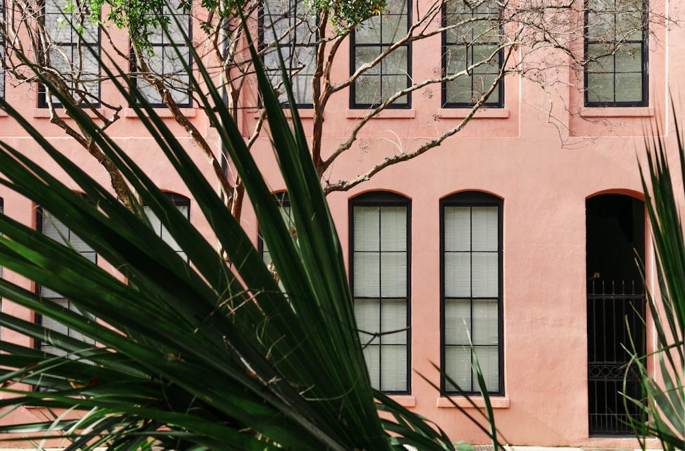 a pink building with a palm tree in front of it