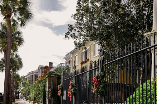 A wrought iron fence decorated with festive wreaths lines a sidewalk bordered by lush greenery and palm trees. Behind the fence, a row of classic and elegant townhouses with beige brick facades and large windows reflects a serene and upscale neighborhood. The bright sky overhead adds a sense of openness.