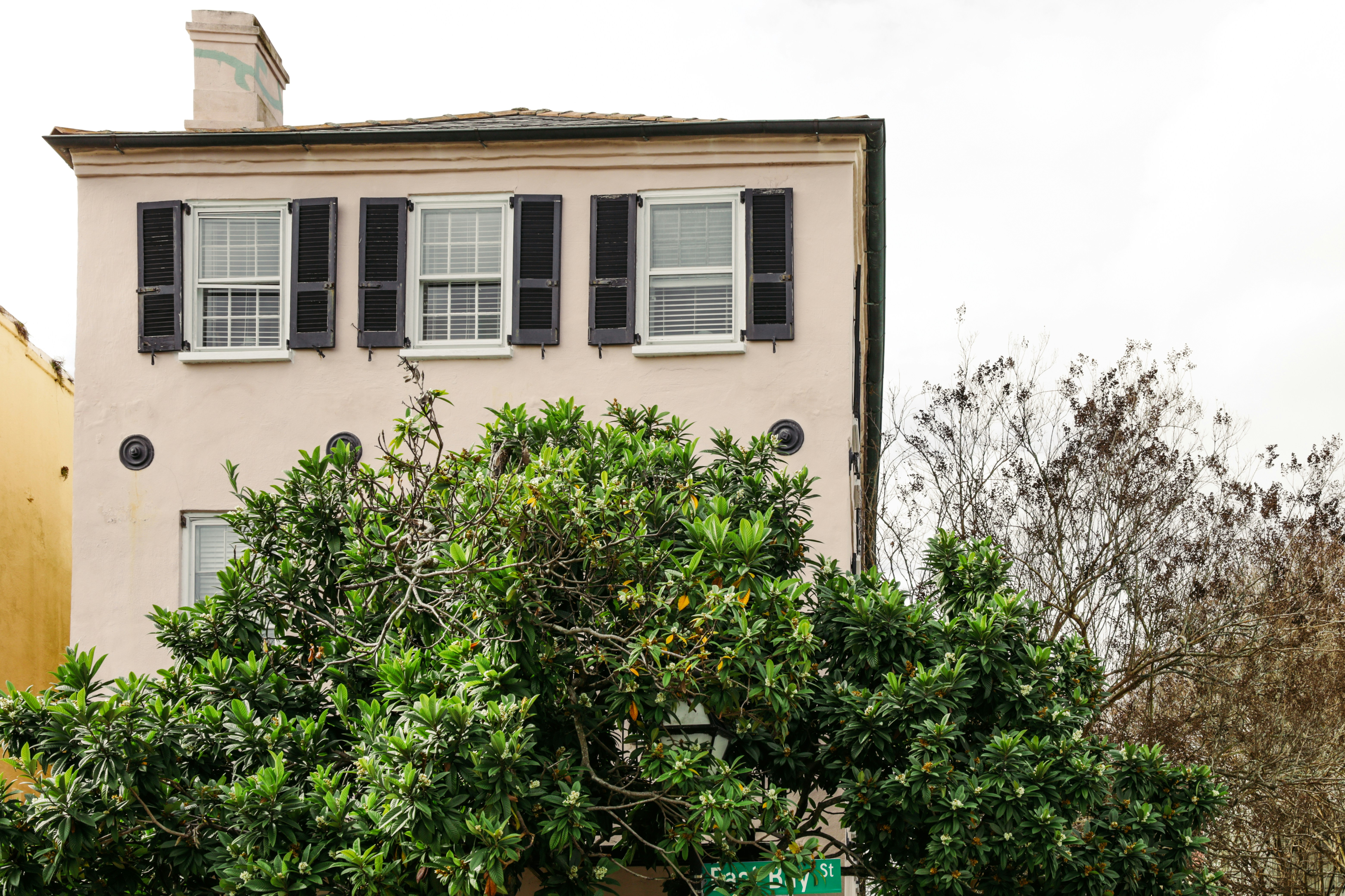 Photo by rosemarymedia