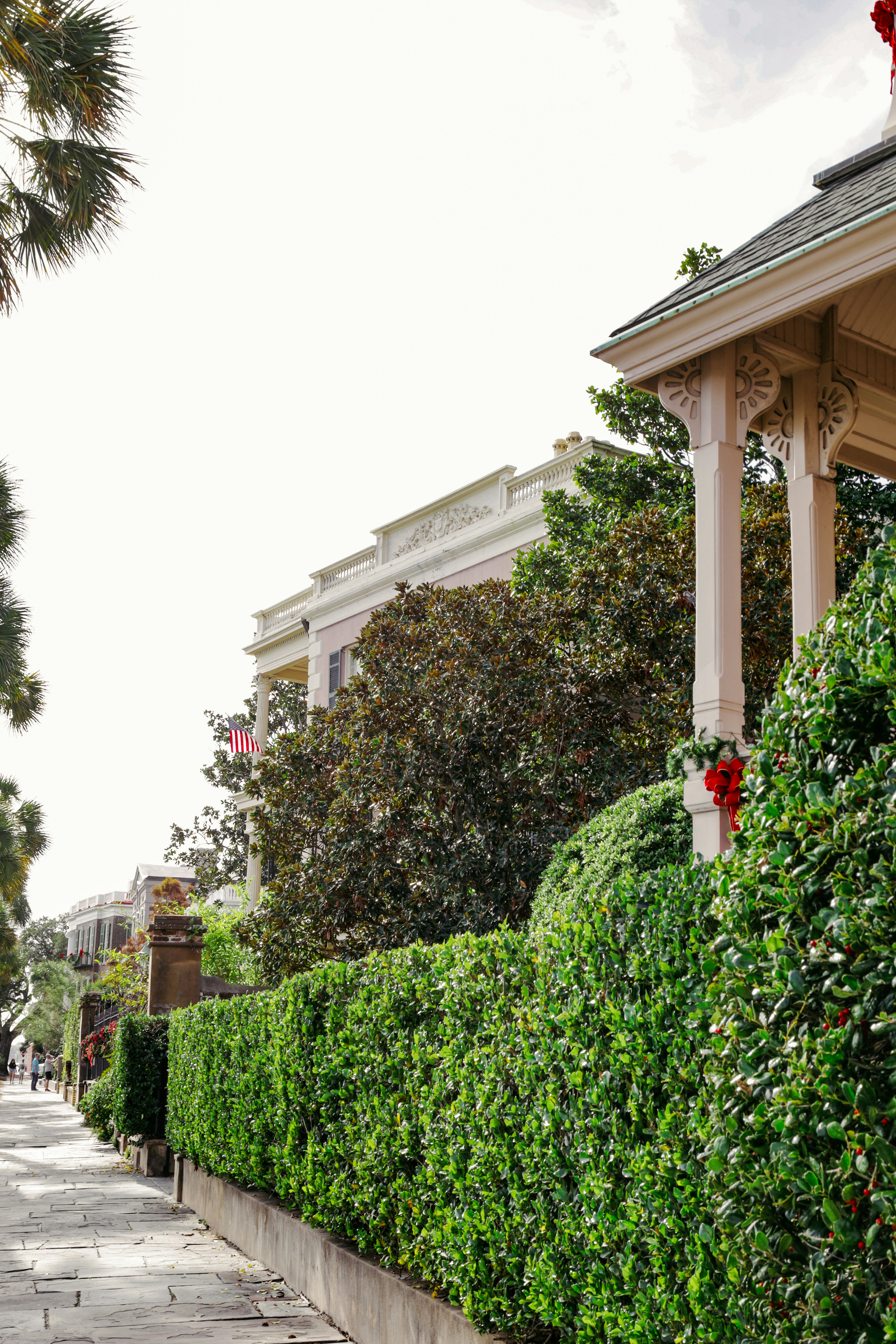 Photo by rosemarymedia