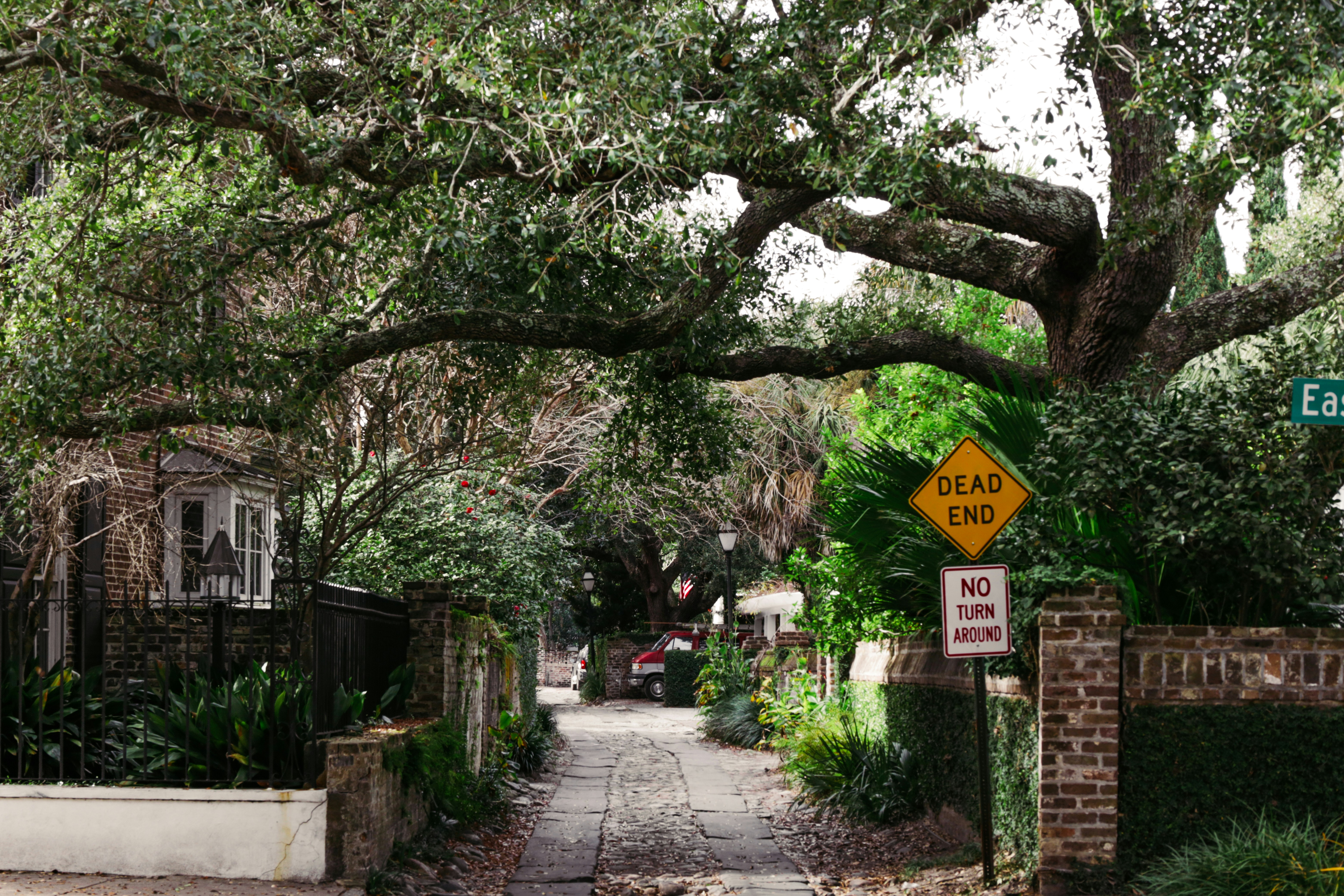 Photo by rosemarymedia