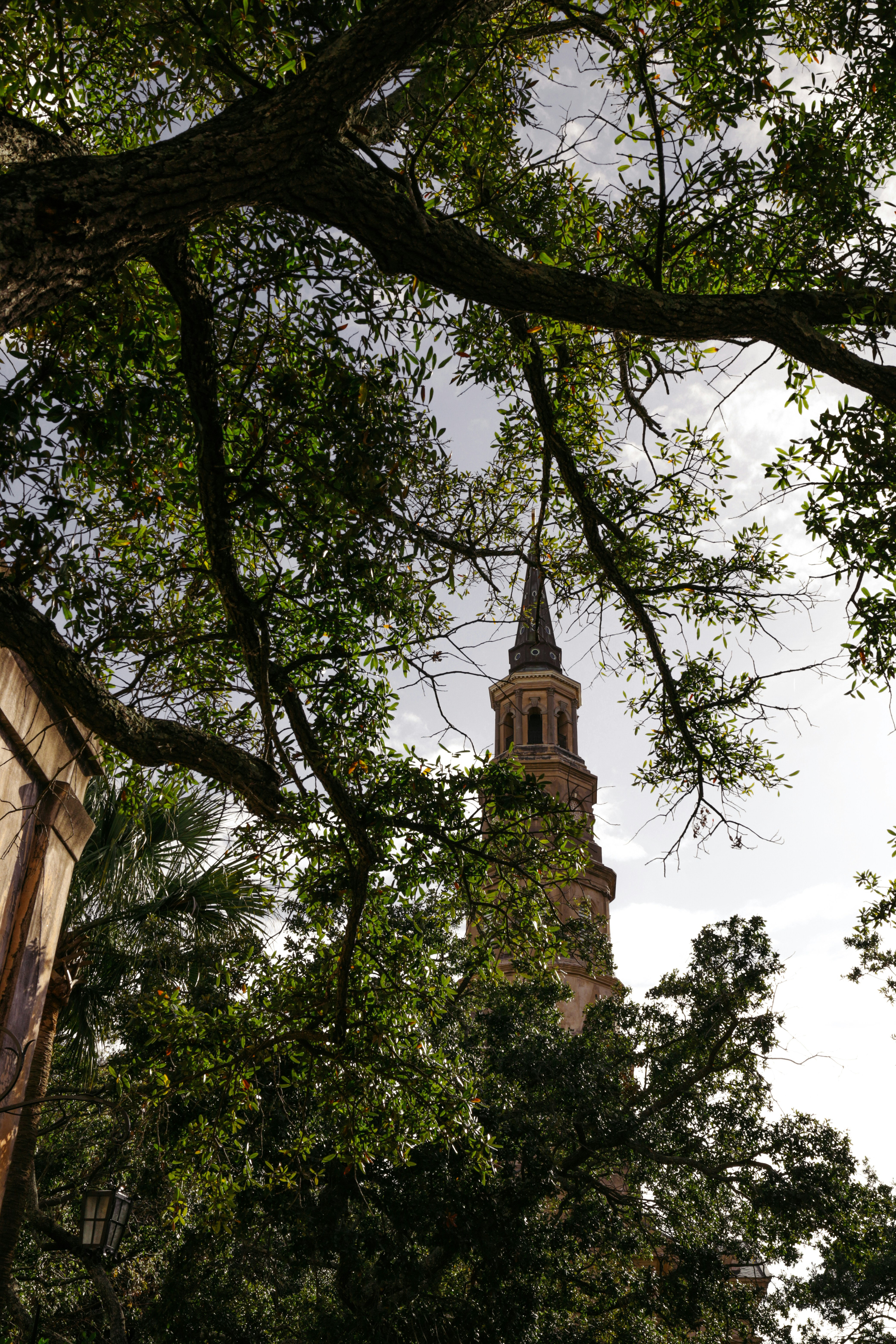 Photo by rosemarymedia