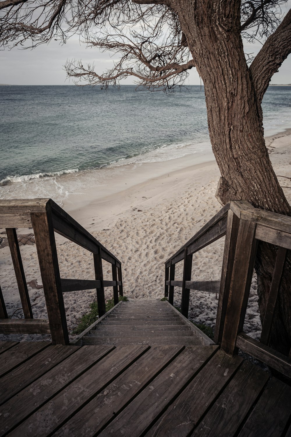 a wooden walkway leading to a beach with a tree