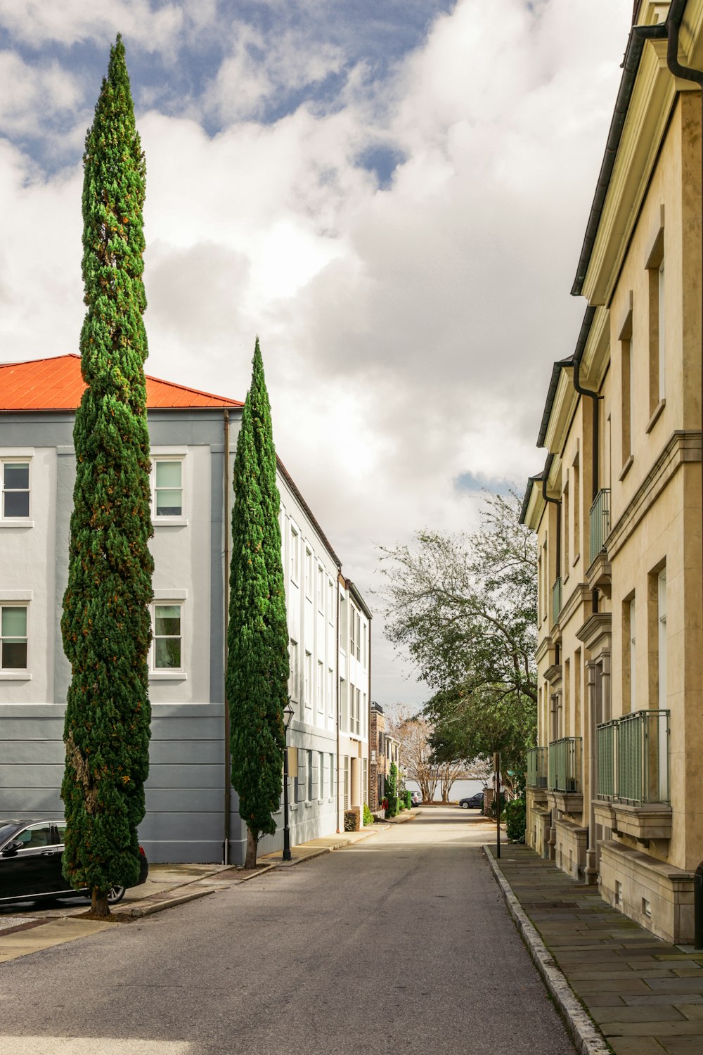 a street lined with tall buildings next to tall trees