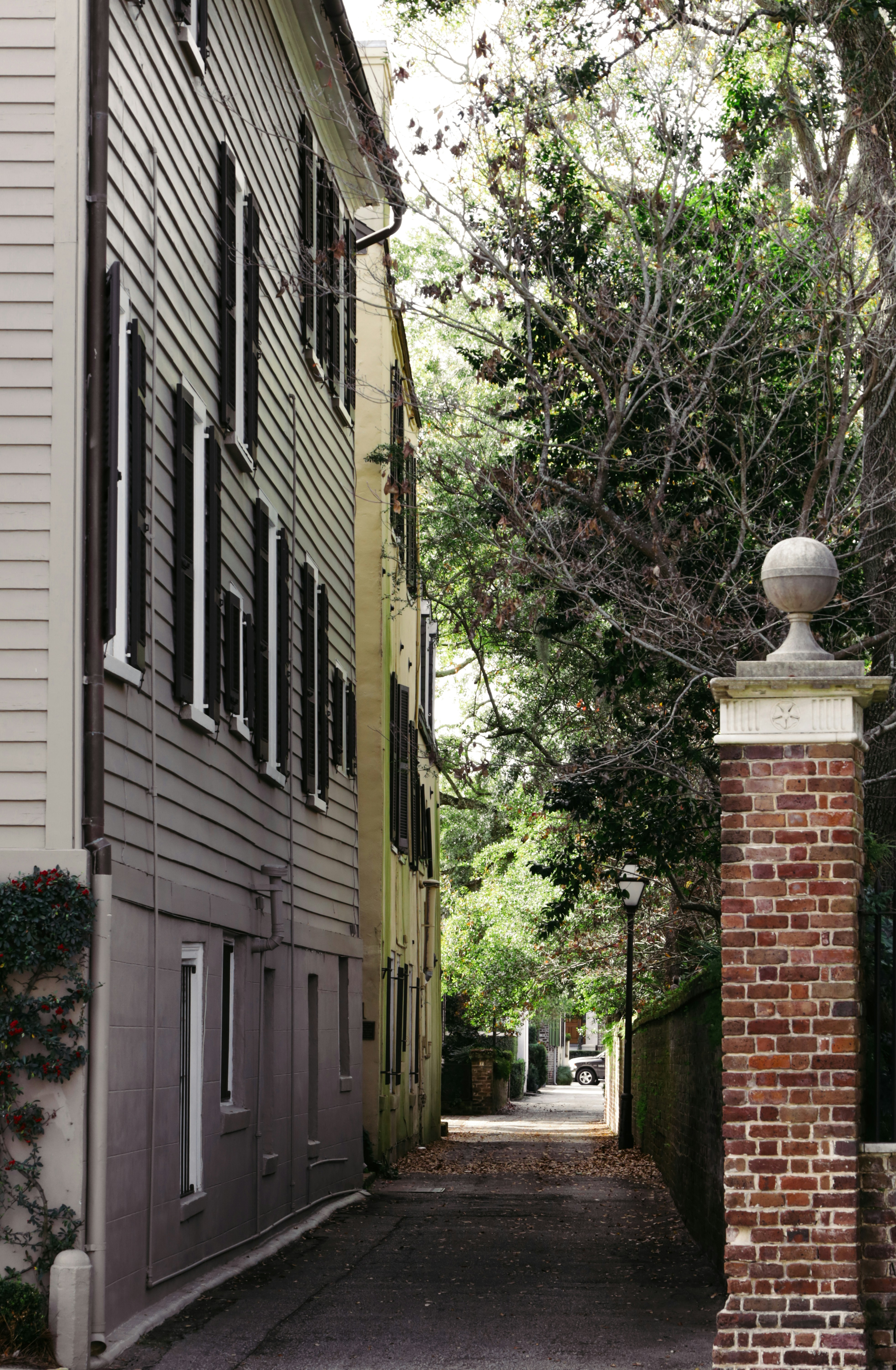 Photo by rosemarymedia