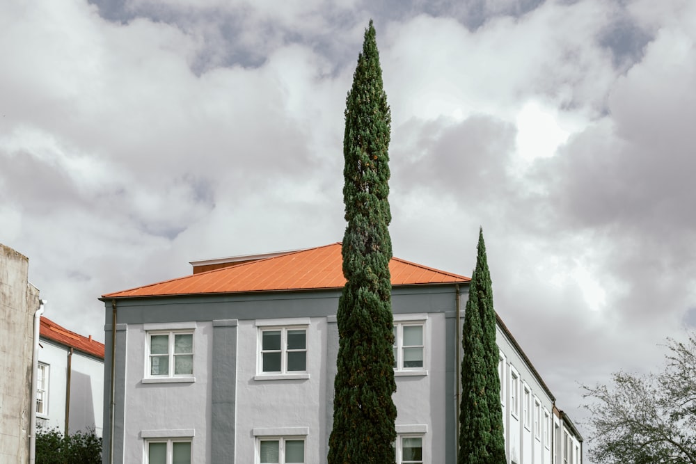 a tall tree in front of a gray building