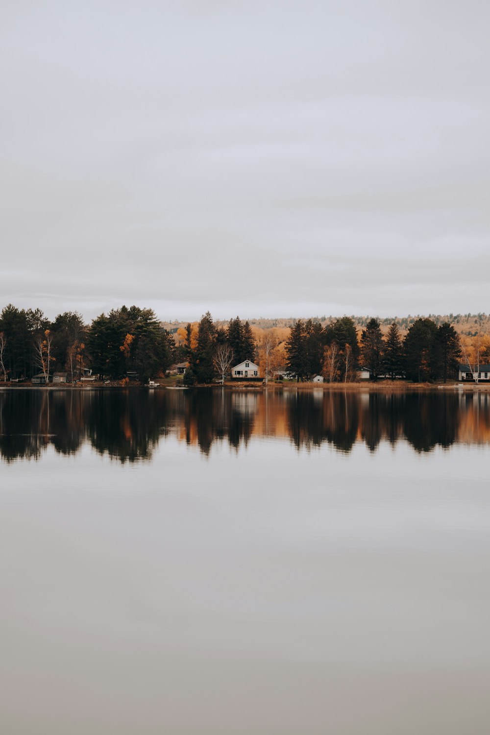 a body of water with trees in the background