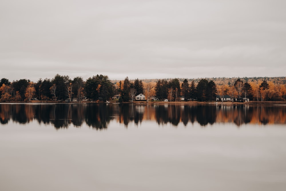 a body of water surrounded by trees