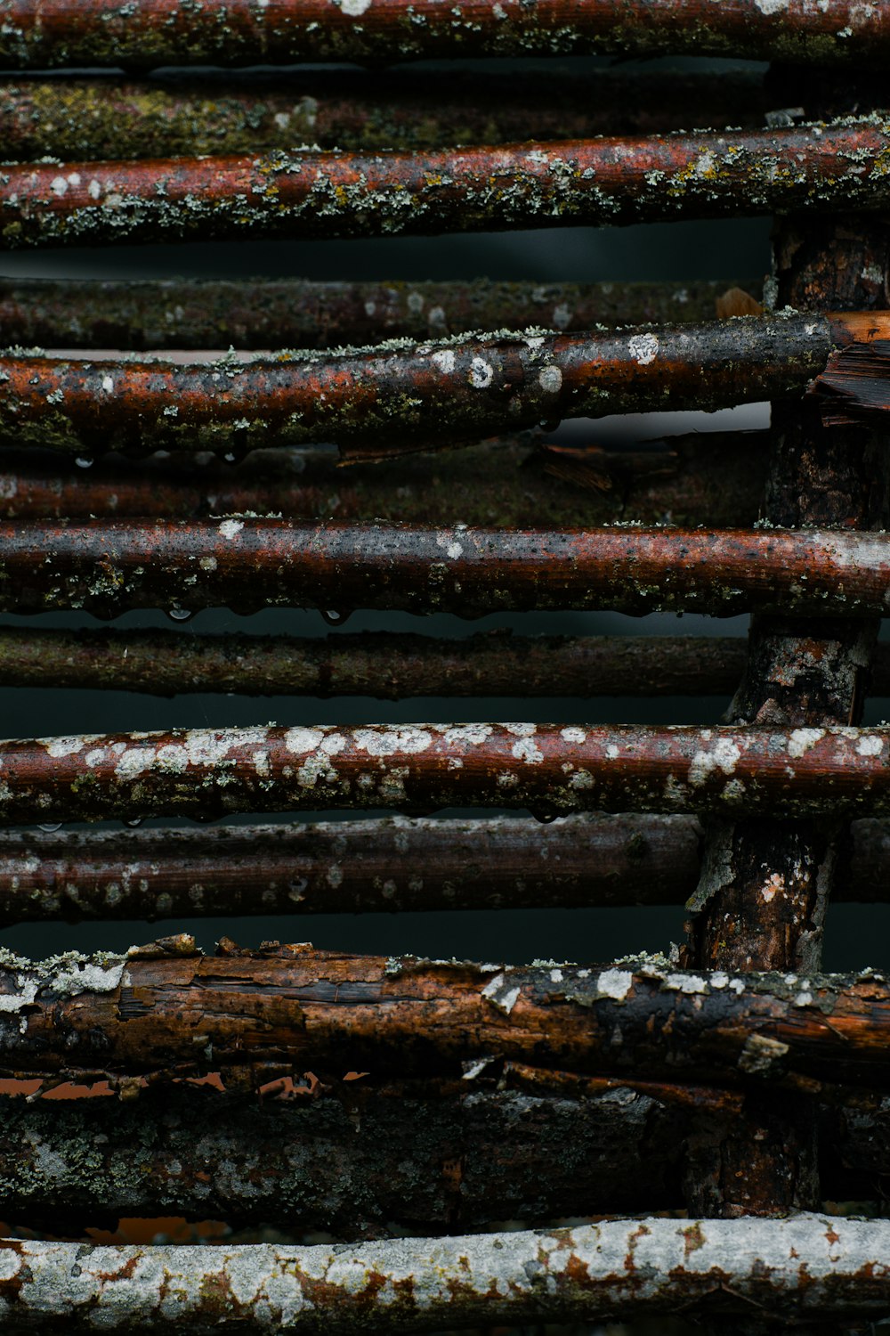 a close up of rusted metal bars with snow on them