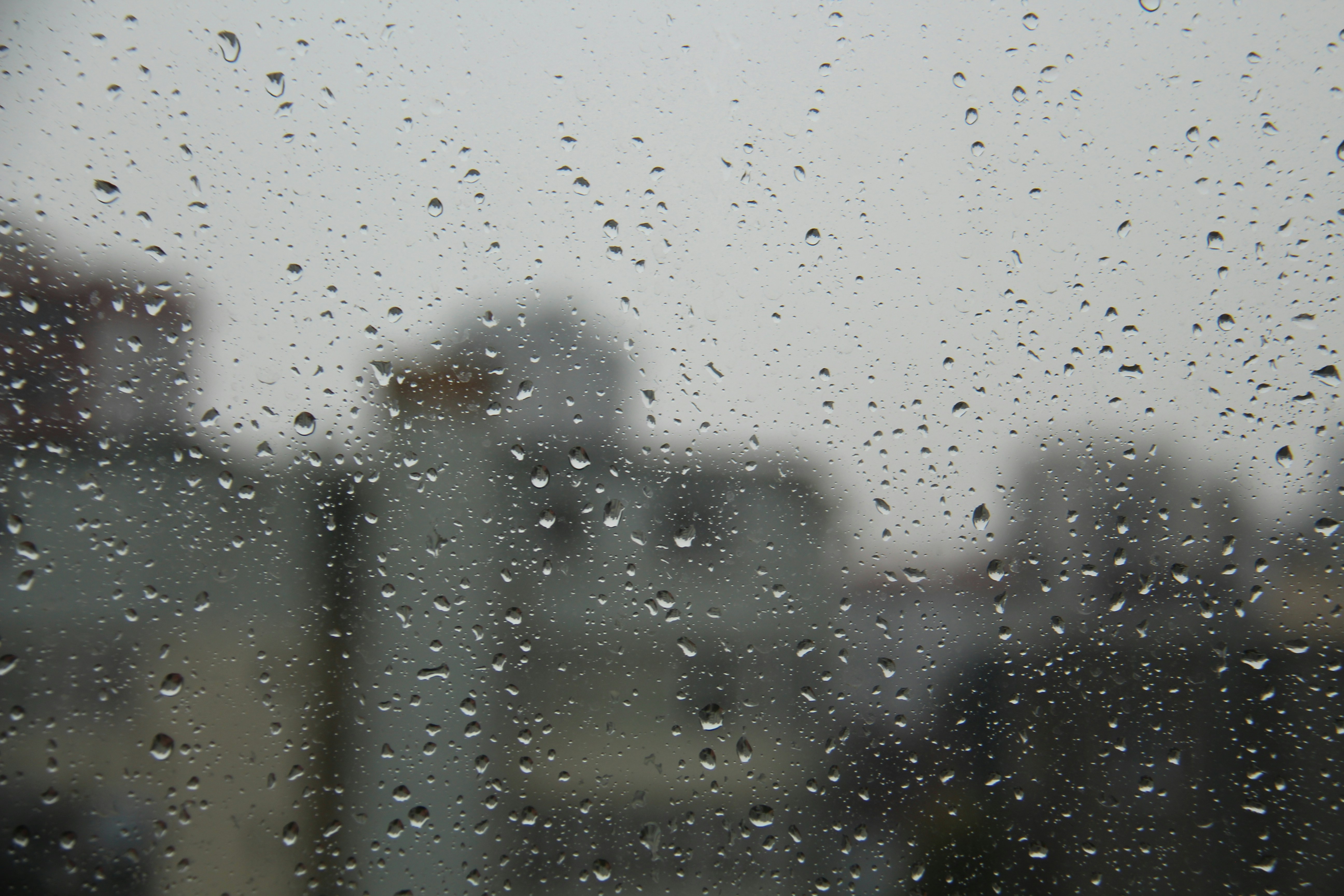 Photo by defneheybeli