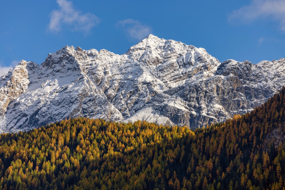 a mountain range covered in snow and trees