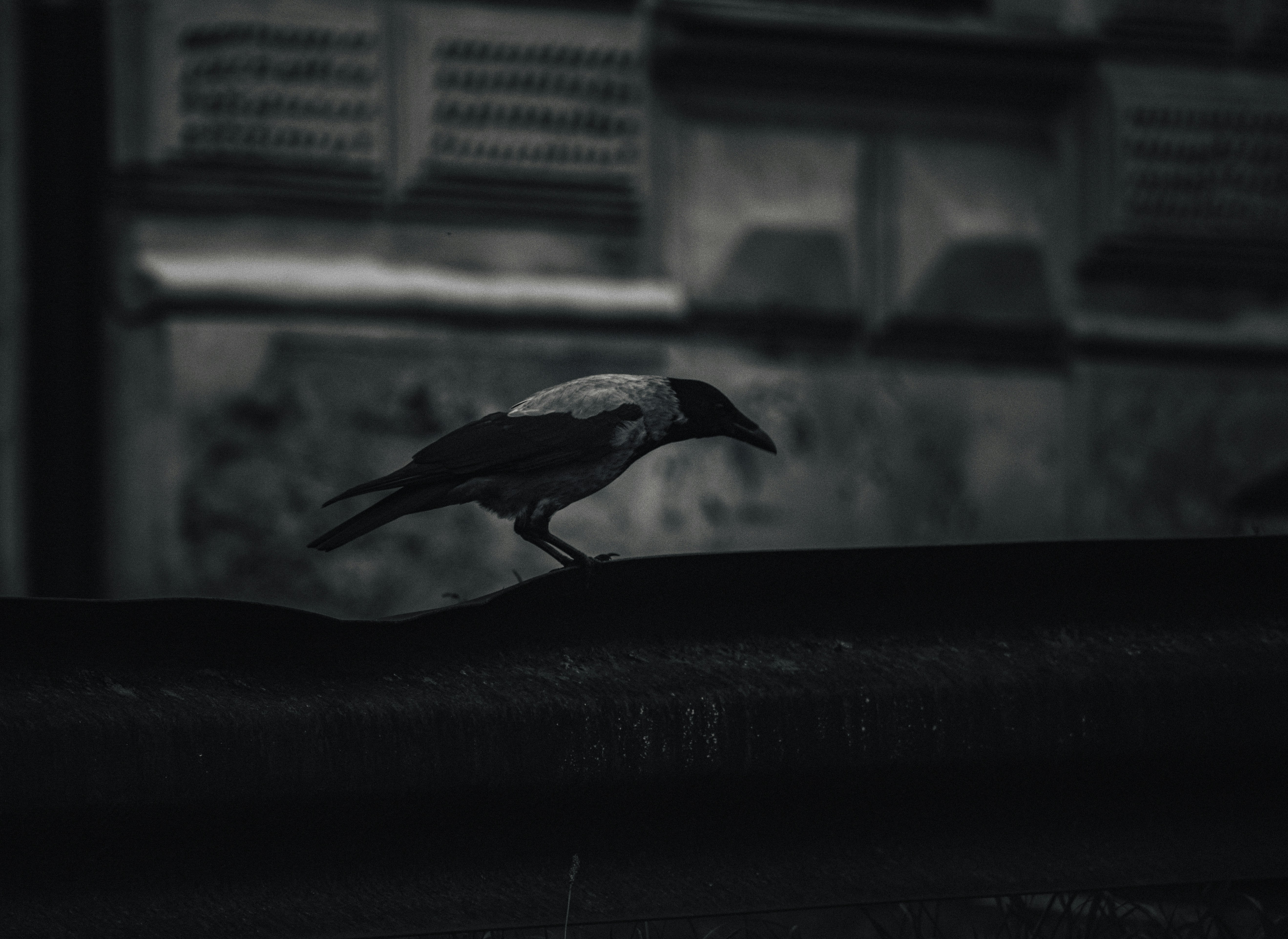 Maribor – Weather & Seasonal Patterns