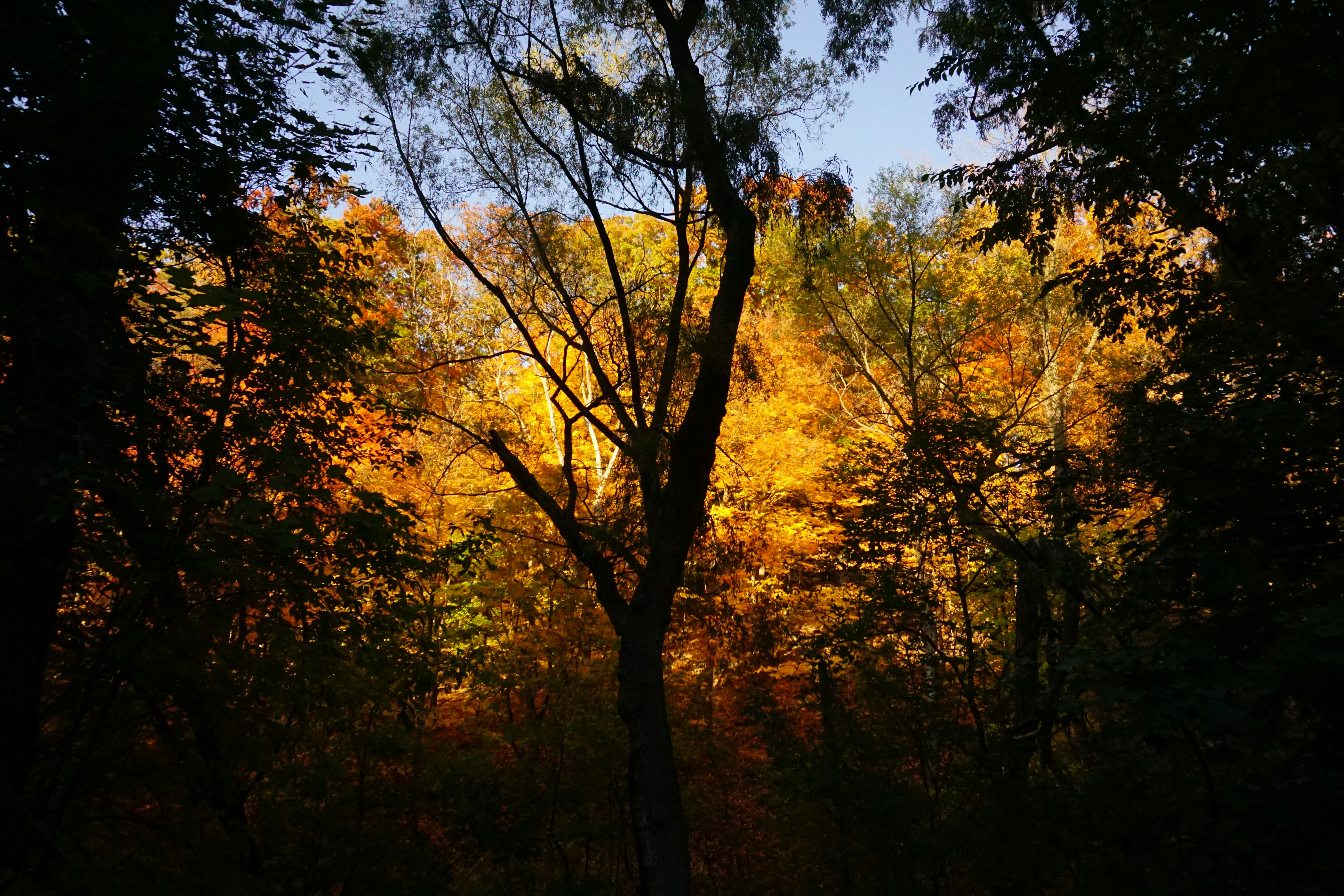 Photo by azharmalbaryy