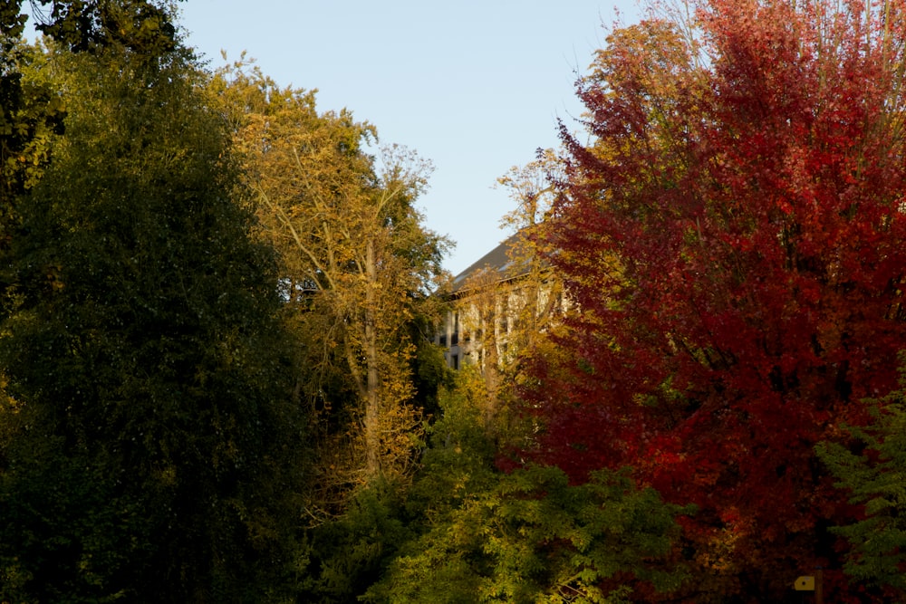 a building surrounded by trees with red leaves