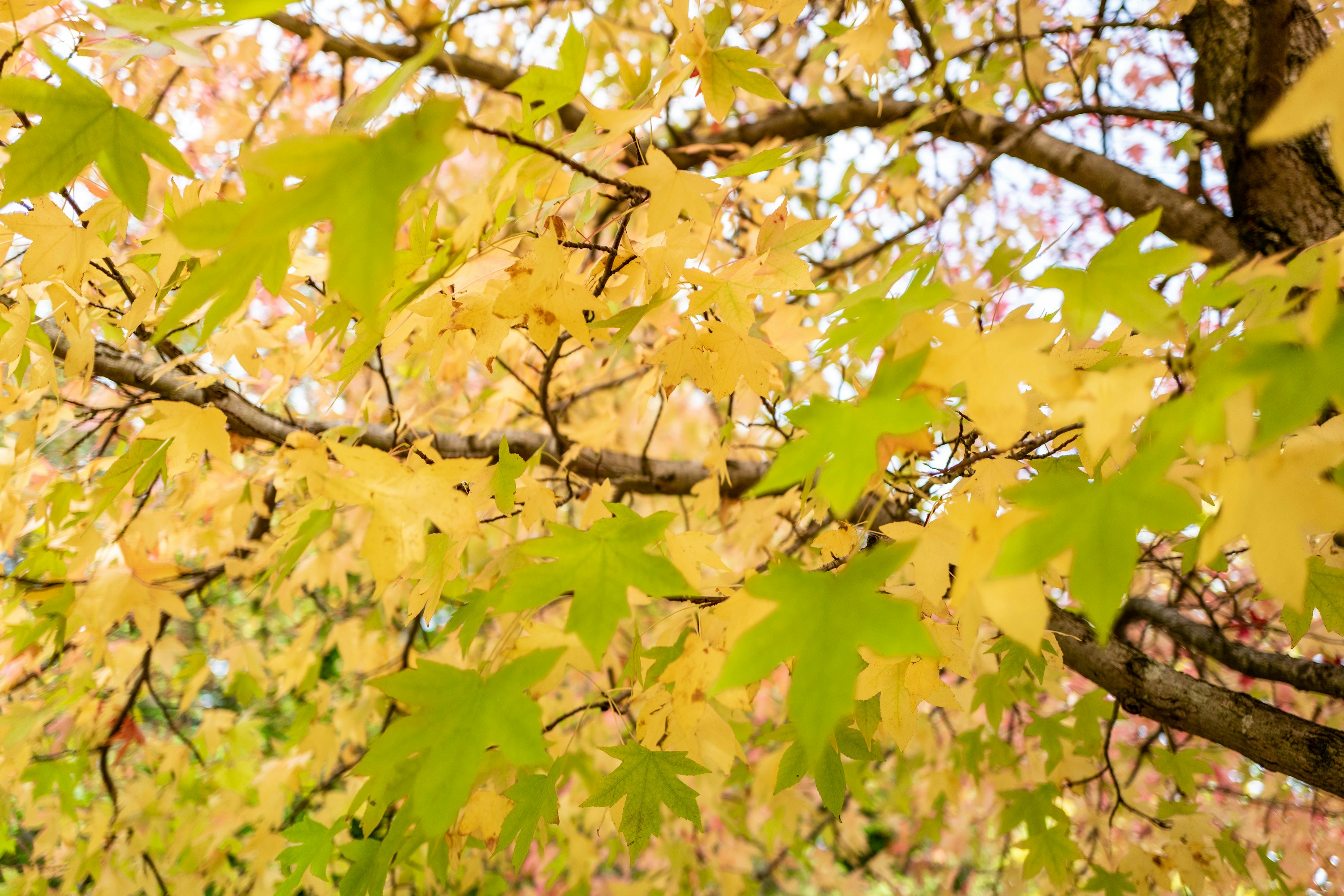 Photo by benjamin_photography