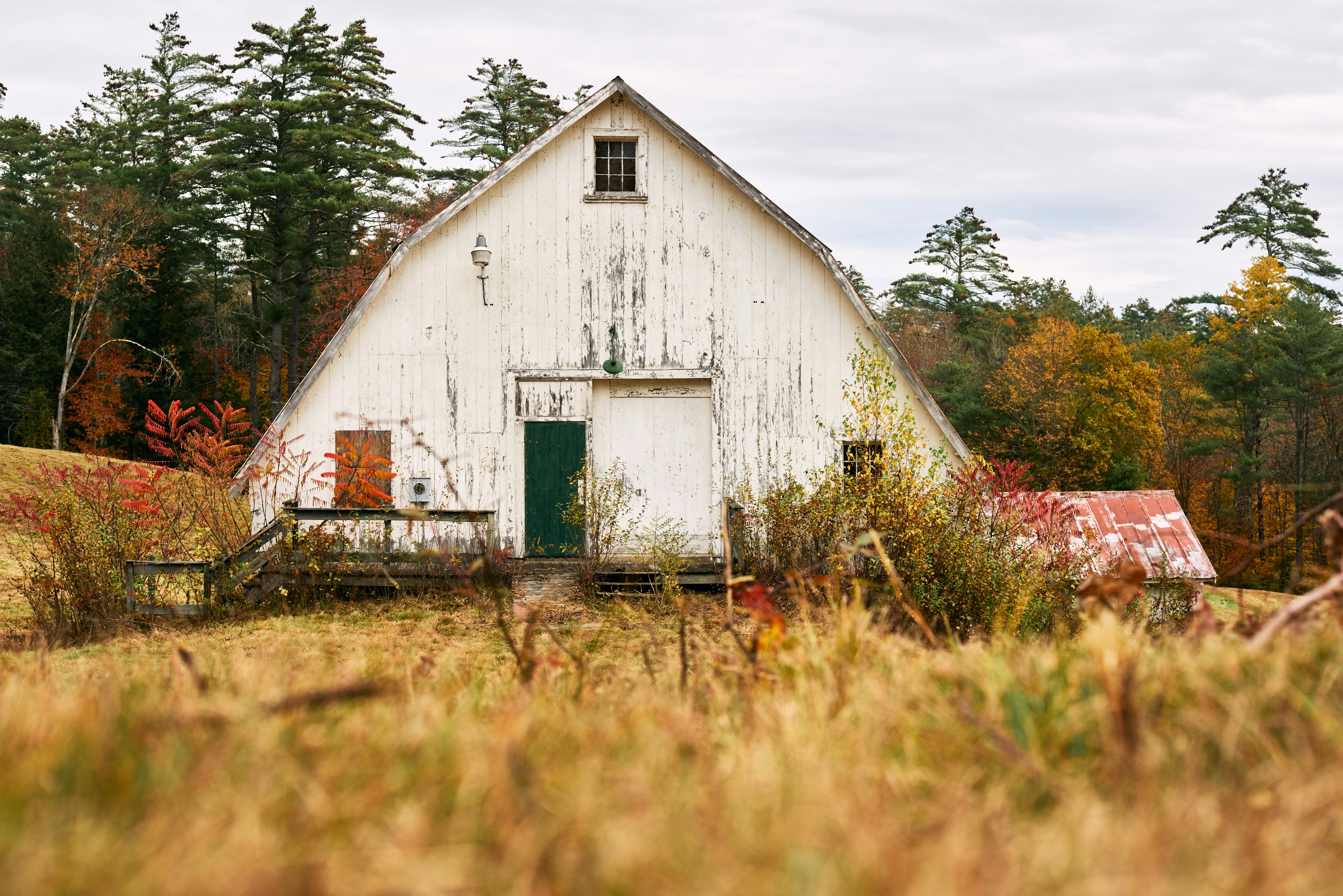 Mortality Without Borders: How Rural America's Opioid Epidemic Exposes Systemic Failures in Public Health Infrastructure