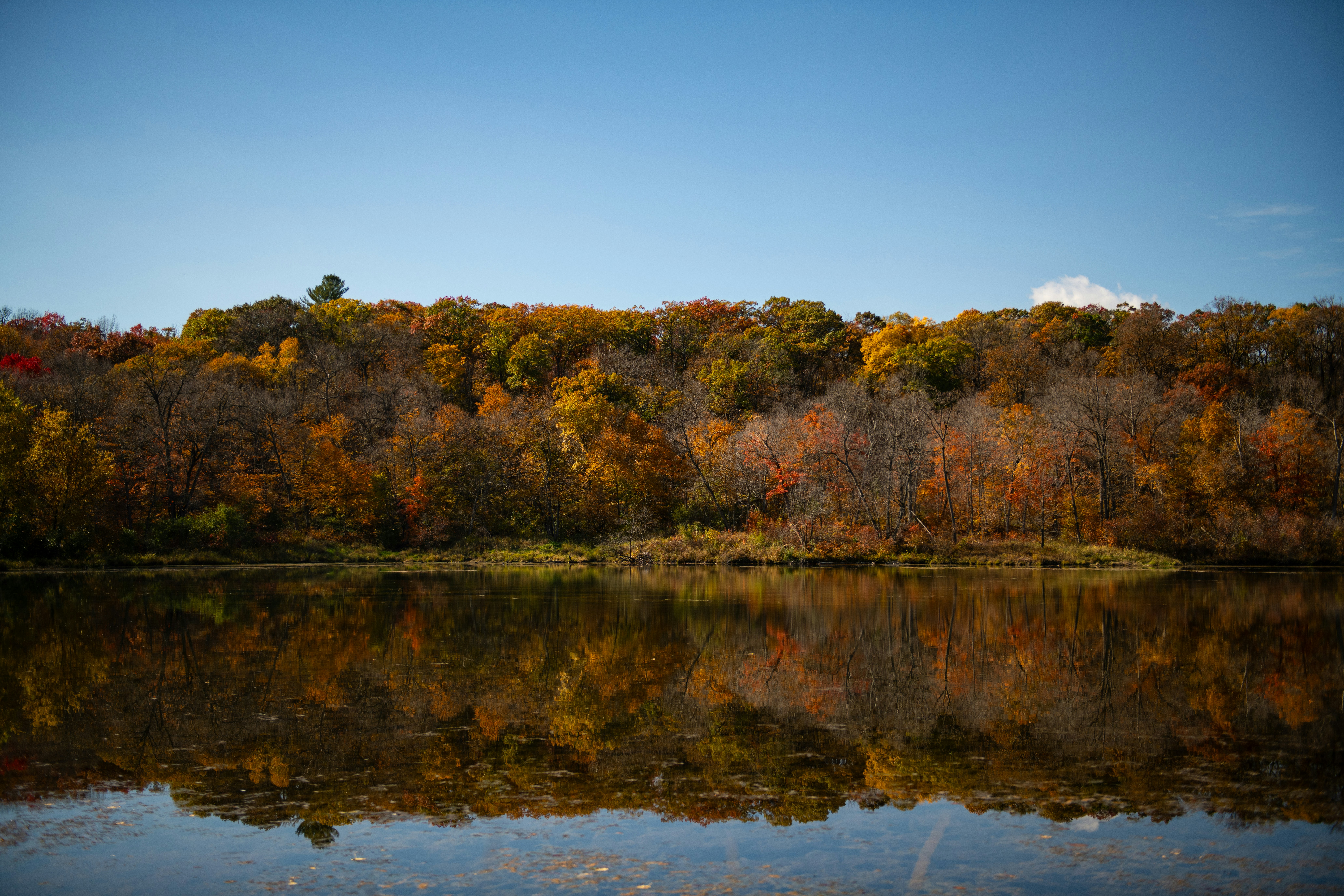 Photo by hlandkammer