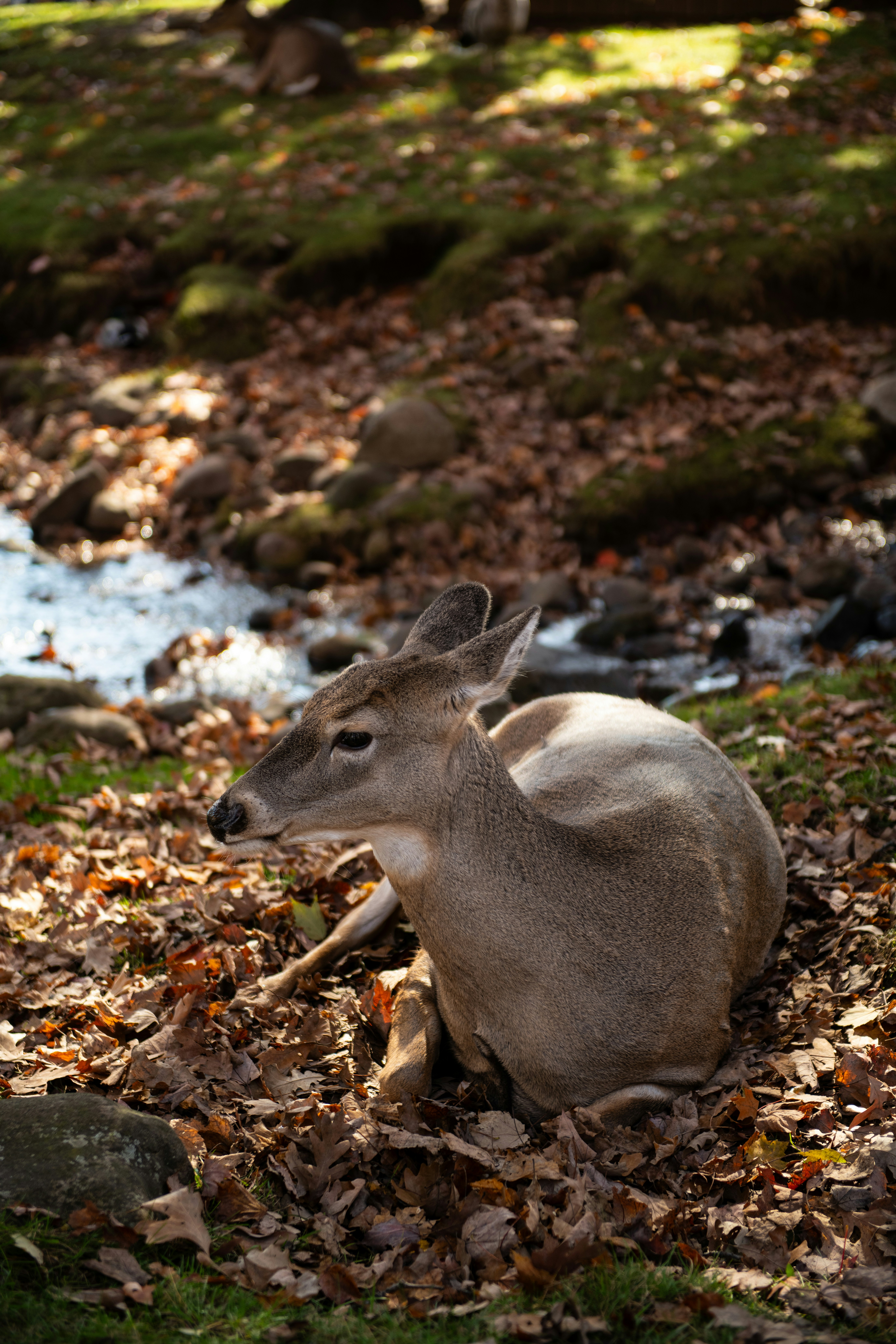Photo by hlandkammer
