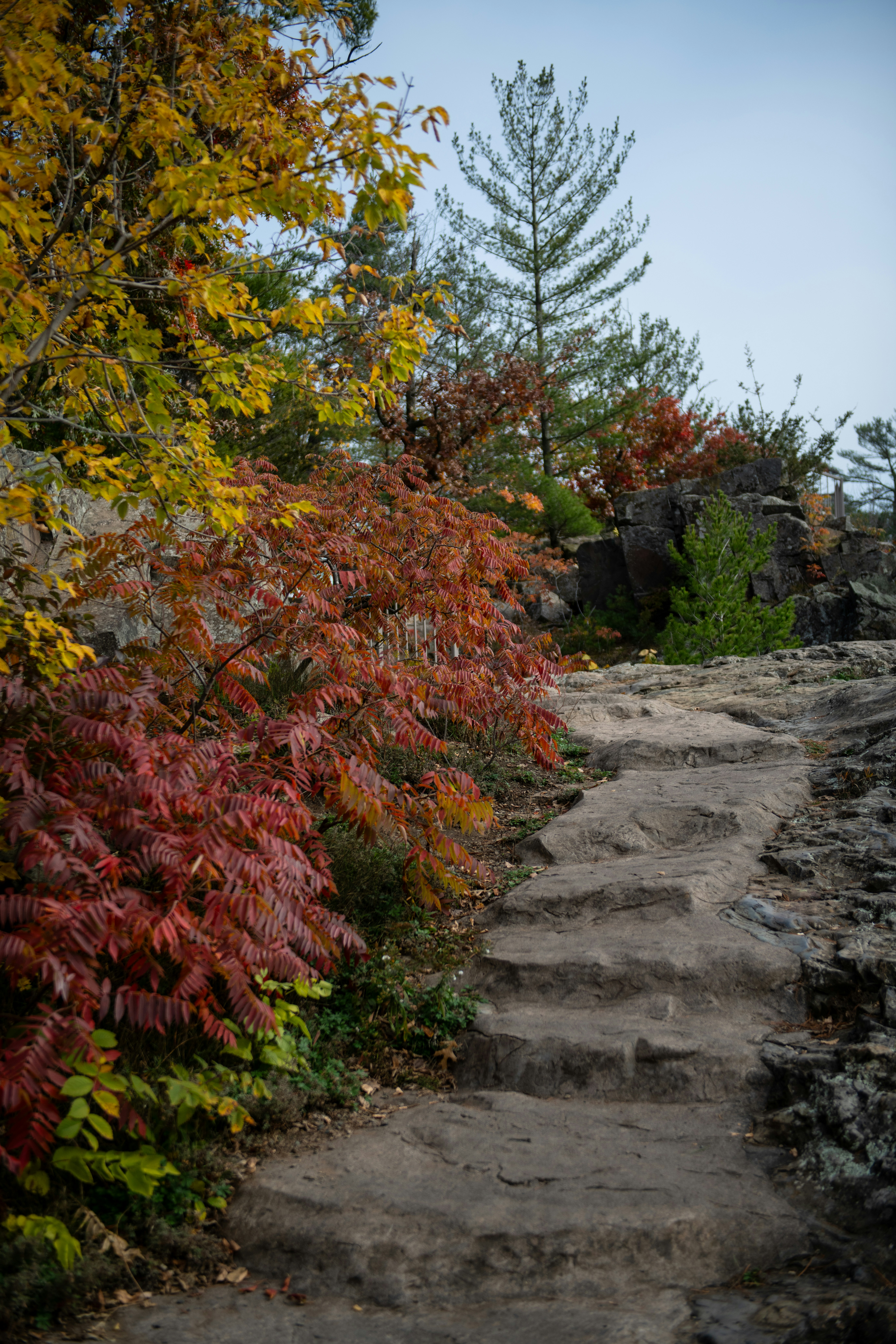 A winding stone path leads upwards through colorful autumn foliage.