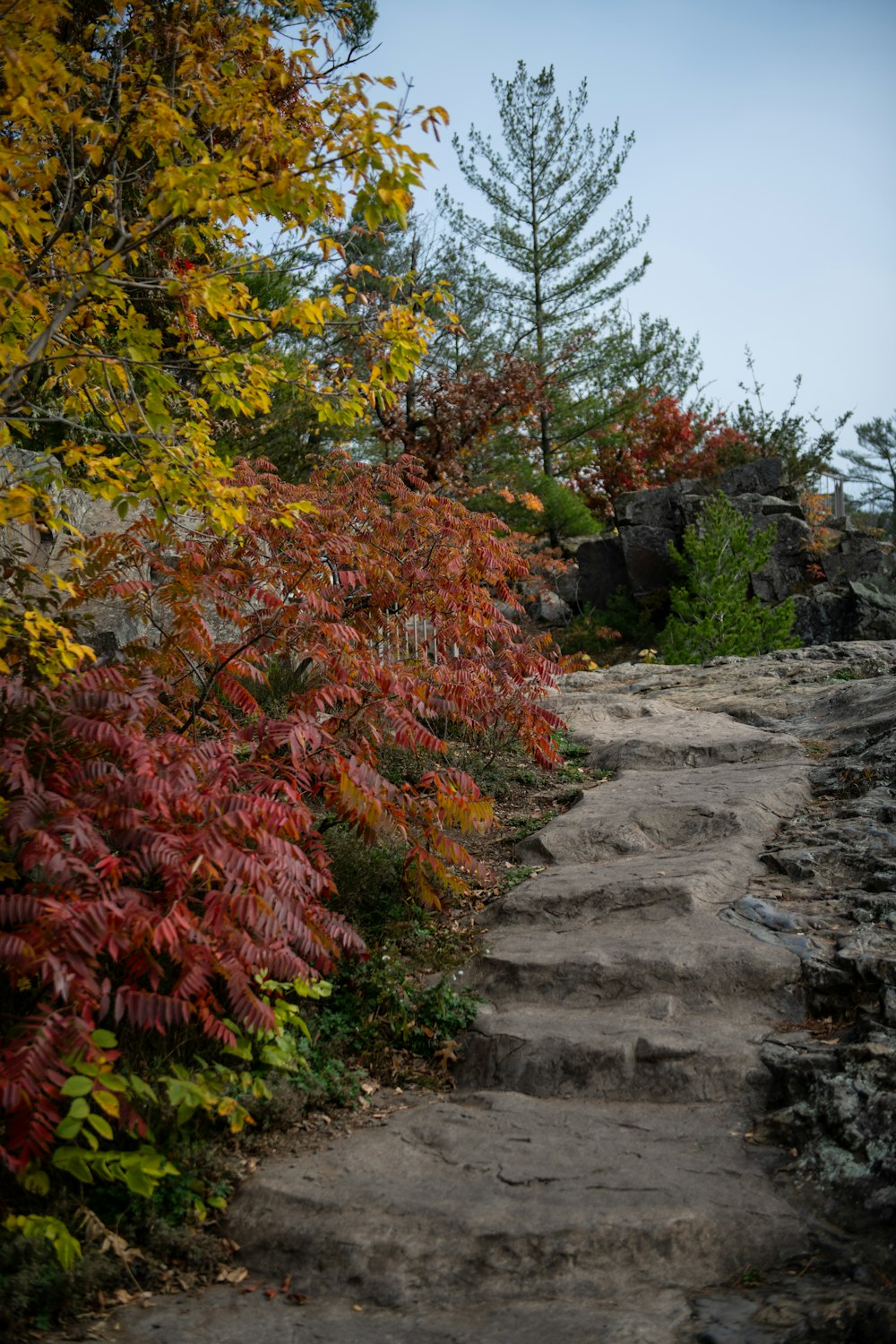 a path that is surrounded by trees and rocks