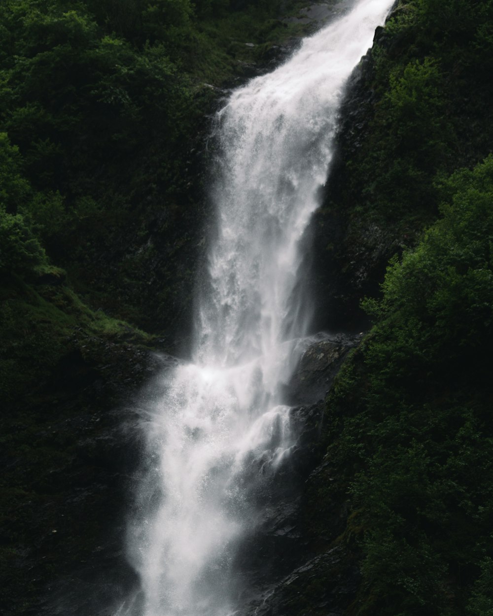 a very tall waterfall in the middle of a forest