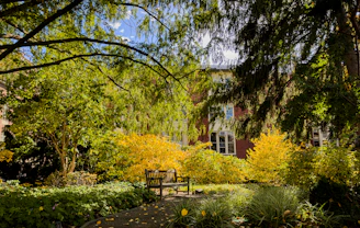 A serene backyard with lush greenery, stone pathways, and a wooden bench under tall pine trees.