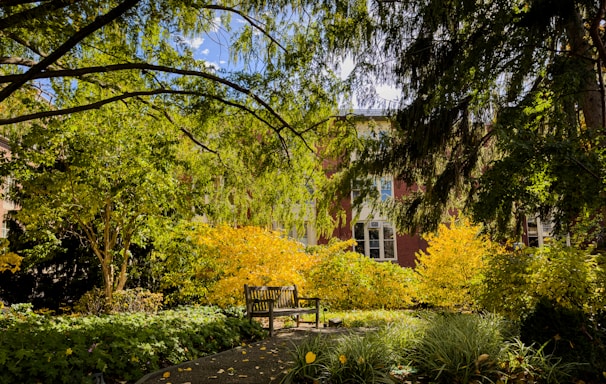 A serene outdoor garden space with greenery and a bench.