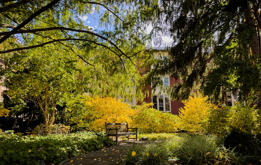 a bench sitting in a park next to a lush green forest