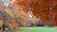 A picturesque lake surrounded by autumn foliage from train perspective.