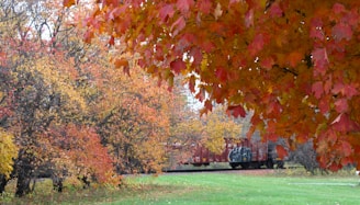 A picturesque lake surrounded by autumn foliage from train perspective.