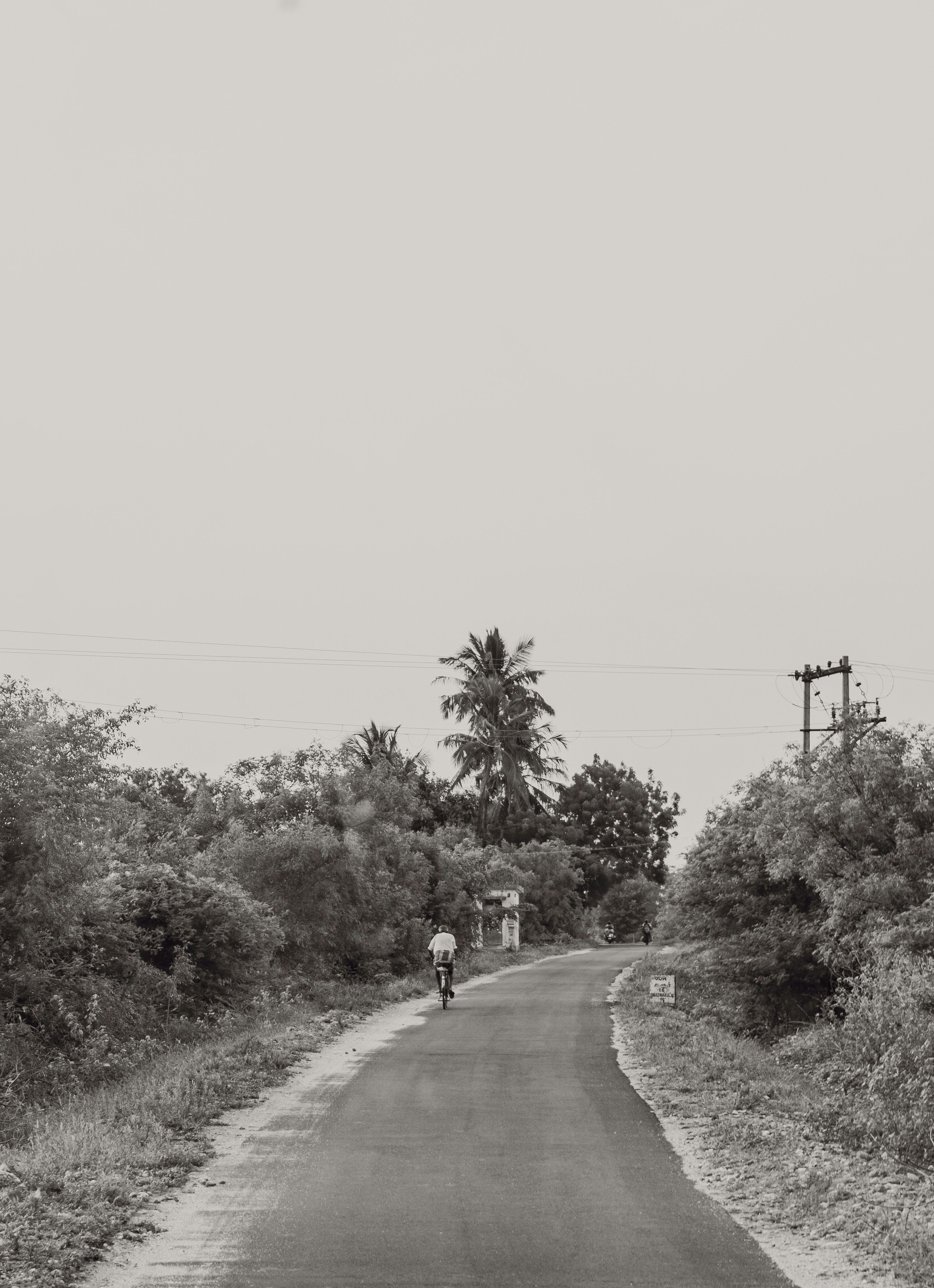 Photo by karthickgislen