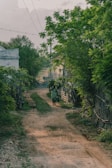 A rural dirt path lined with lush green trees and vegetation. A person wearing long clothes walks along the path, carrying a basket on their head and a container in hand. Buildings and fences are visible in the background.