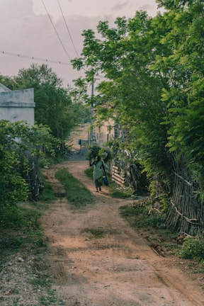 A rural dirt path lined with lush green trees and vegetation. A person wearing long clothes walks along the path, carrying a basket on their head and a container in hand. Buildings and fences are visible in the background.