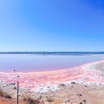 A serene landscape featuring a pink salt lake under a clear blue sky. The shoreline is marked by salt deposits and dry, rocky terrain. The horizon in the distance is lined with low hills.