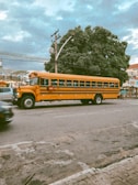 A yellow school bus drives along a city street beside a large green tree and power lines. The road appears to be slightly cracked, and the sky is overcast with a mix of clouds. In the background, there's a building with some signage, and a car is partially visible on the left.