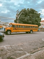 A yellow school bus drives along a city street beside a large green tree and power lines. The road appears to be slightly cracked, and the sky is overcast with a mix of clouds. In the background, there's a building with some signage, and a car is partially visible on the left.