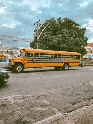 A yellow school bus drives along a city street beside a large green tree and power lines. The road appears to be slightly cracked, and the sky is overcast with a mix of clouds. In the background, there's a building with some signage, and a car is partially visible on the left.