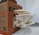 A cluster of large, white oyster mushrooms grows out of an open cardboard box labeled 'Life Cykel'. The mushrooms have wide, curved caps with delicate, pleated gills and are situated on a white paper towel in an indoor setting.