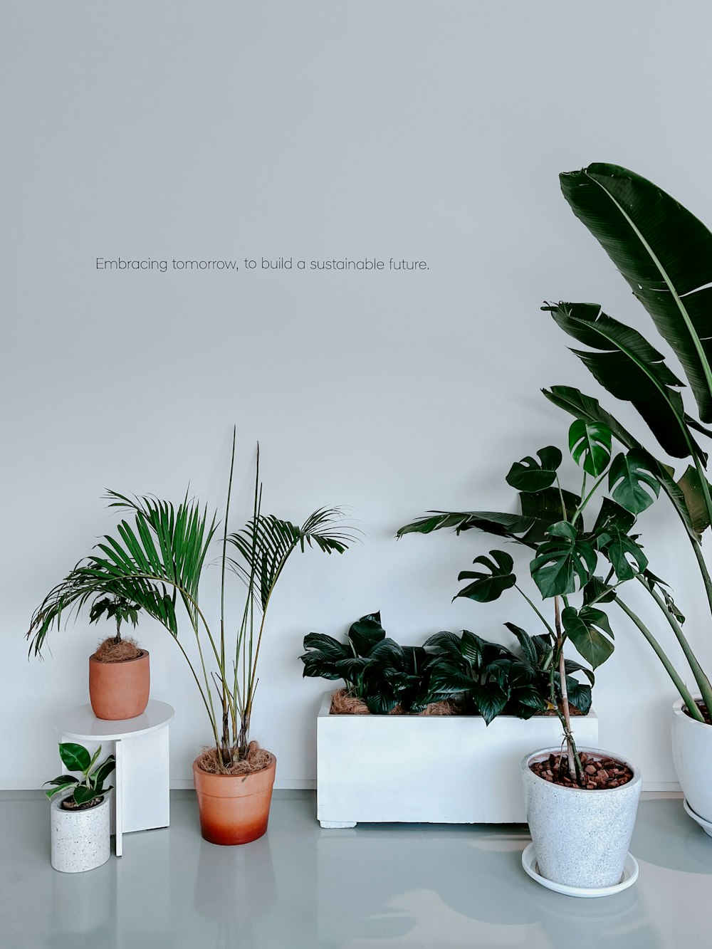 a group of potted plants sitting on top of a table