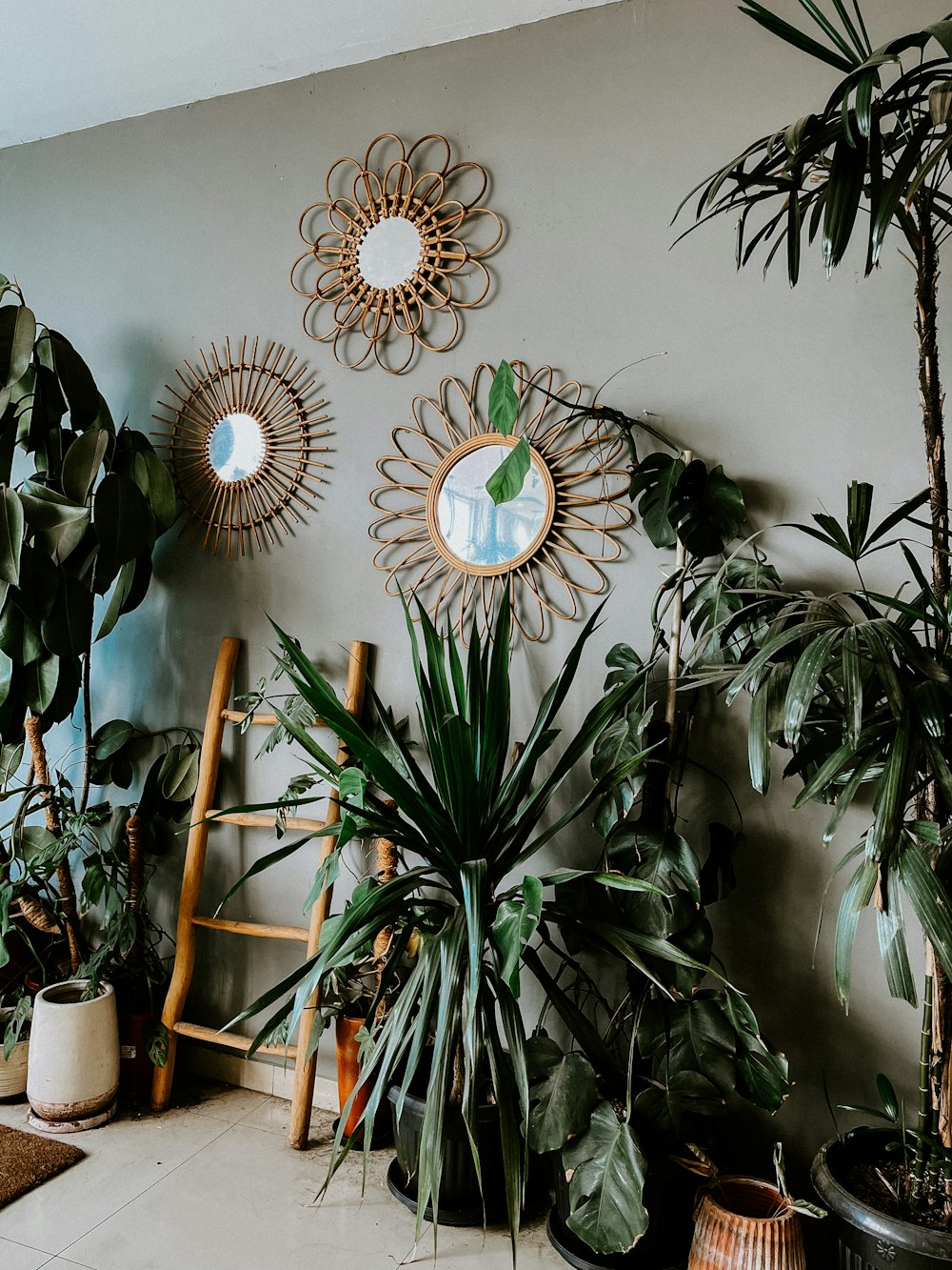 a room filled with lots of plants and mirrors