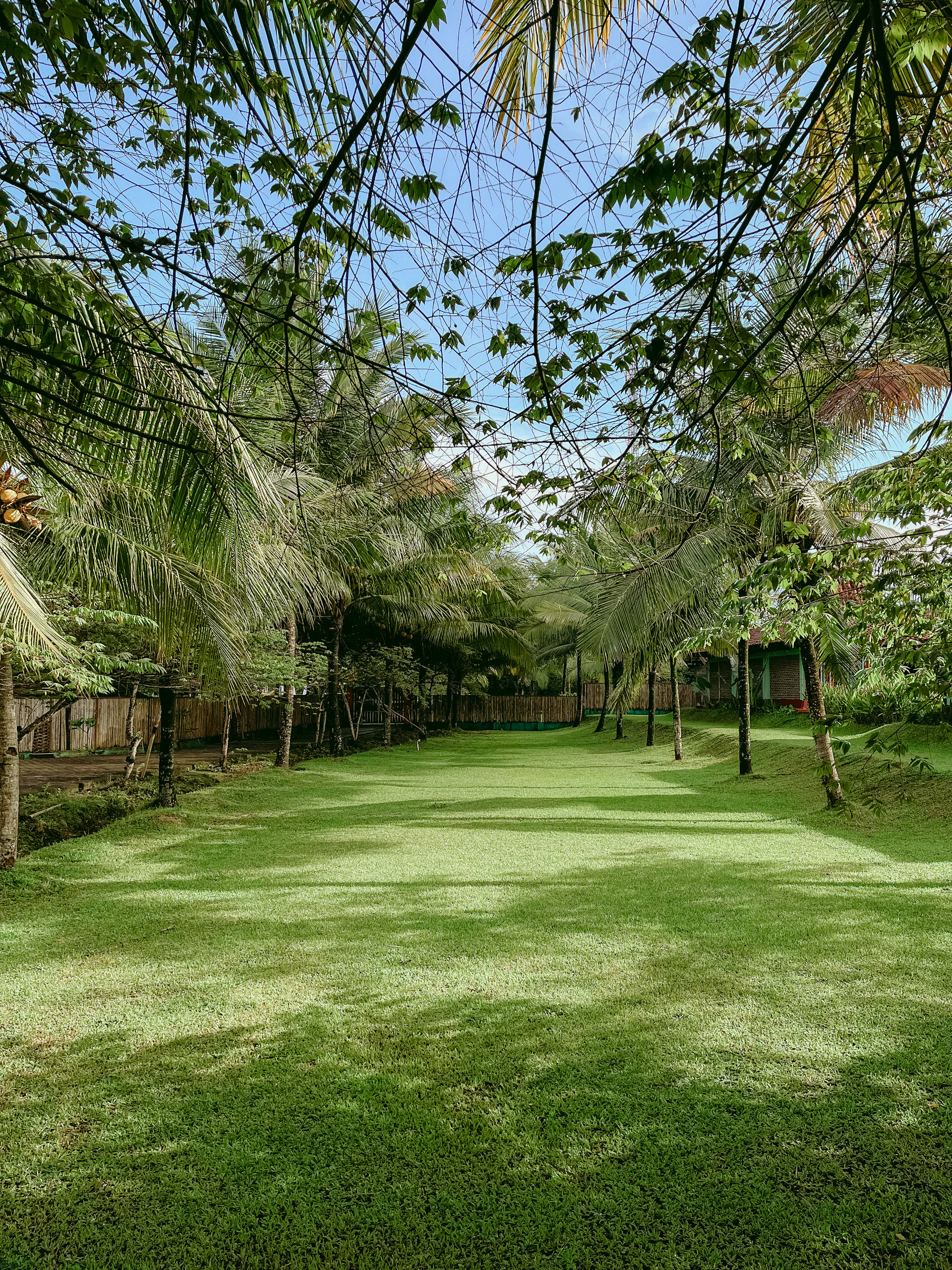 a lush green field with lots of trees