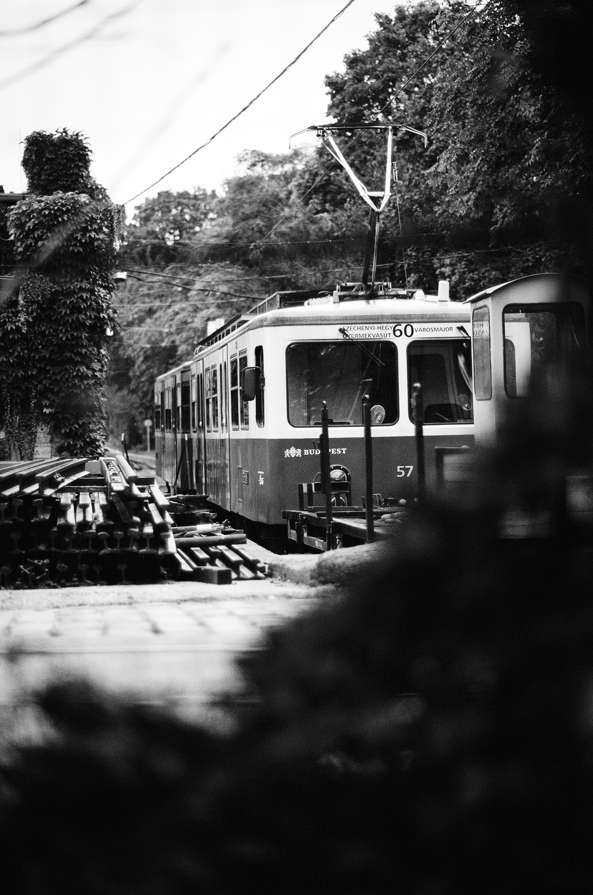 Photo by stachmann