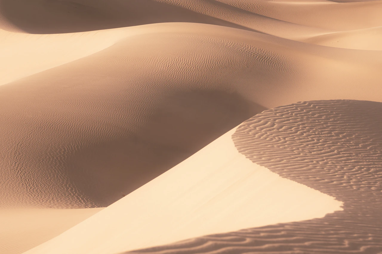 A desert landscape with a large amount of sand dunes
