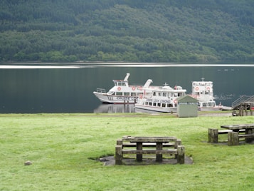 Several cruise boats are docked beside a calm lake with a backdrop of lush green forest-covered hills. The foreground features a wooden picnic table on a grassy area, creating a serene outdoor setting.