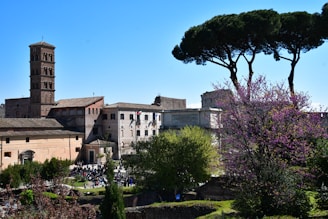 A scenic view of downtown Rome, Floyd County, Georgia with historic buildings and bustling streets.