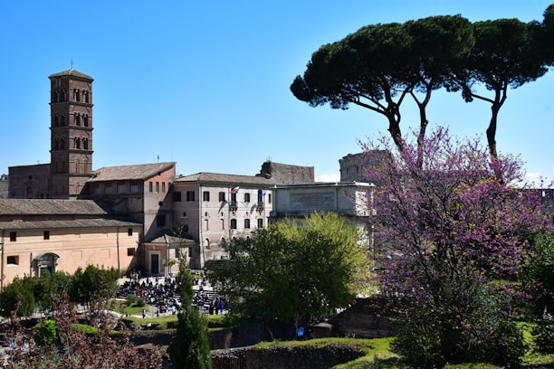A scenic view of downtown Rome, Floyd County, Georgia with historic buildings and bustling streets.