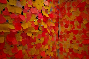 Colorful materials and notes from a life and love harmony workshop